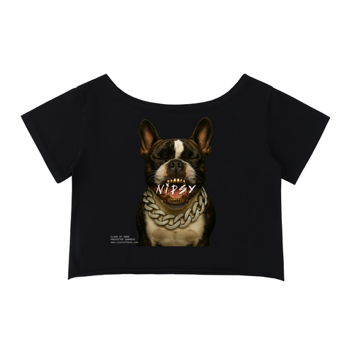 custom pet